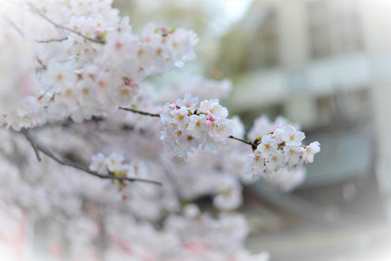 Hotel Plaza Umeshin Kitashinchi Осака Экстерьер фото